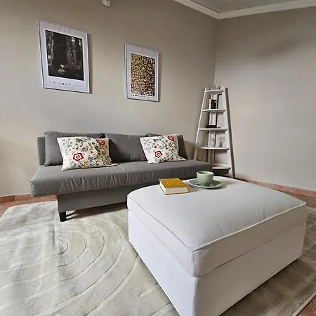 Apartment Palazzo Ianni *